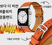 "애플워치보다 더 비싼 시계줄"..없어서 못판다! [IT선빵!]