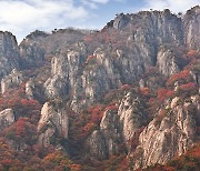[11월 넷째 주 추천산행지] 대둔산, 바위와 어우러진 단풍은 한 폭의 동양화