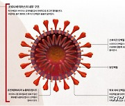 세종서 고교생 코로나19 확진..서울 관악구 511번 접촉