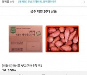 KT, 부산 온라인 지역상품몰 '동백몰' 오픈