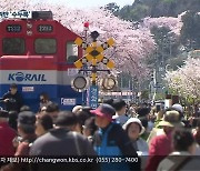 진해 군항제, 수의계약에 불공정 입찰 '수두룩'