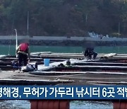 통영해경, 무허가 가두리 낚시터 6곳 적발