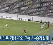 대전하나시티즌, 경남 FC와 무승부..승격 실패