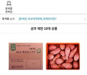 KT, 부산 블록체인 지역화폐 '동백전' 온라인 쇼핑몰 오픈