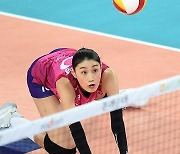 김연경, 악플과의 전쟁 선포 "악플러들 고소, 댓글 내용 매우 심각"