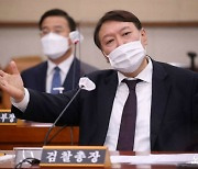 "법치주의의 훼손"..'총장 직무배제'에 檢 연이어 집단성명