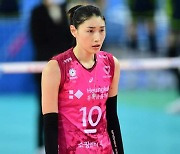 김연경 소속사, 악플러 고소.."선처 없이 법적 대응"