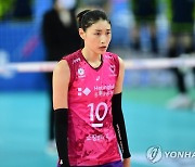 김연경 소속사, 악플러 고소.."선처 없이 법적 대응"