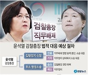 [그래픽] 윤석열 검찰총장 법적 대응 예상 절차