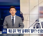MBC "비글부부 아동학대 영상, 조사 토대로 한 것..삭제 결정無"(공식입장)