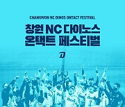'창단 첫 통합우승' NC, 28일 '창원 NC 다이노스 온택트 페스티벌' 개최