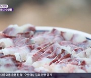 천하장사 백승일 '6시 내고향' 숭어 장어 무아지경 먹방 펼쳤다 [TV캡처]