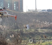 철새 도래지 미호천변 항공방제