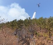 창원 화개산 불로 임야 0.06㏊ 소실..인명피해 없어