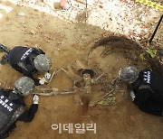 화살머리고지·강원 양구서 발굴된 6·25 전사자 신원확인
