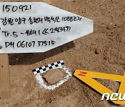 화살머리고지·강원 양구서 발굴된 '6·25 전사자' 유해 2구 신원확인