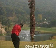 [김맹녕의 골프영어회화] "나무를 넘기는 샷"