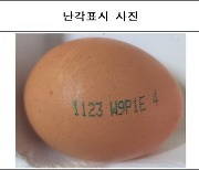 경남 고성군 농가 생산 계란에서 '비펜트린' 기준치 초과 검출