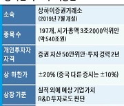 해외 개인투자자도 中 커촹반 주식 산다