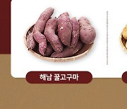 한지연, '해남고구마'·'서산 팔봉산 감자' 앙코르 라이브 방송 판매