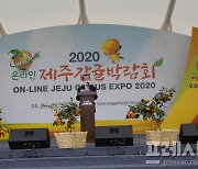 '제주감귤 새로운 도전과 희망!' 27일 2020 제주감귤박람회 개최