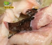 옥미아구찜, 통통한 아귀찜+아귀 수육 맛집..남다른 비주얼 눈길 [TV캡처]