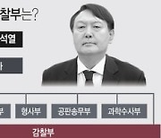 [그래픽] 윤석열 수사의뢰 배당 전망 대검 감찰부는?