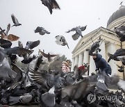 MOLDOVA ANIMALS FEATURES