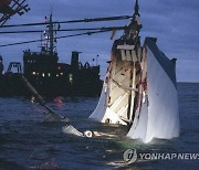 Finland Sweden Ferry Sinking