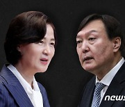 "지라시" "광인"..추·윤 갈등에 거칠어지는 여야의 '입'