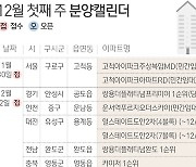 [분양캘린더]'고척 아이파크' 임대 분양..전국 1만1340구 공급