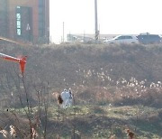 가금농장서 2년 8개월만 고병원성 AI 확진.. 정 총리 "인근 3km 이내 살처분하라"