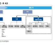  "LG그룹 인적분할, 존속지주 성장성 강화 기대"