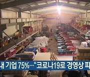 제주도내 기업 75%.."코로나19로 경영상 피해"