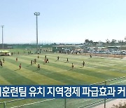 "제주, 전지훈련팀 유치 지역경제 파급효과 커"
