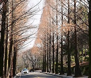 [포토친구] 겨울로 가는 길목에서