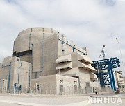 中, 국산 원자로 기술 적용한 원전 가동 성공