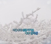 [영상구성] 제주 한라산 첫 눈