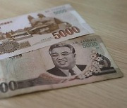 "북한서 달러 가치 3주 만에 20% 급락"