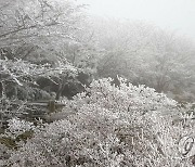 첫 눈 내린 한라산