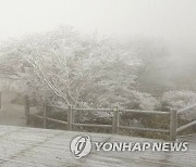 첫 눈 내린 한라산