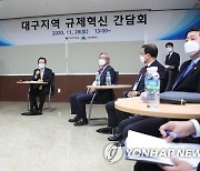 규제개선 기업인 간담회 참석한 정세균 총리