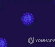 노래방·김장·가족 간 감염..경기북부 최소 36명 확진