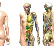 독일산 제쳤다..韓 연구진 개발 인체모델 국제 방사선 방호 표준으로