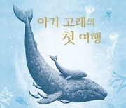 [신간안내]'아기 고래의 첫 여행' 外