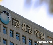 금감원 "제재심 위원, 금융전문가들 풀제로 운영"