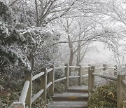 [사진]제주 한라산에 첫눈 쌓였다..작년보단 열흘 늦어