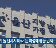 "개에게 돌 던지지 말라"는 여성에게 돌 던져..징역형 