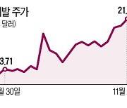 '델·카·옥' 드디어 반등..잠 설치던 서학개미 탈출 기회 ?