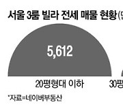 '30평대 빌라' 지어 전세난 해결하겠다지만..